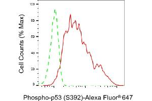 Flow cytometric analysis of Phospho-p53 (S392) expression in HeLa cells using Phospho-p53 (S392) antibody (ABIN7800681), 1:2,000). (Rekombinanter p53 Antikörper  (pSer392))