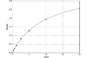 PCNA Clamp Associated Factor (PAF) ELISA Kit