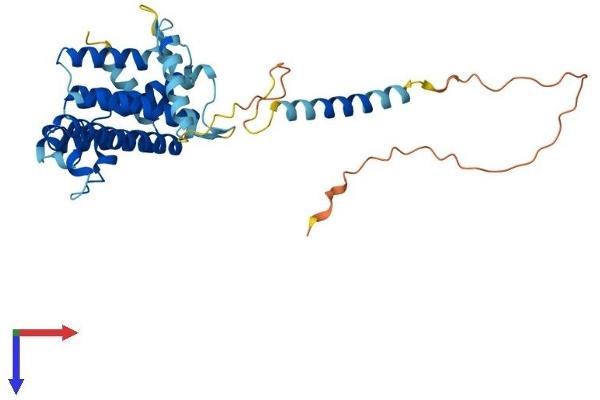 TMEM115 Protein (AA 1-351) (His tag)