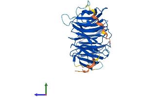 Protein Structure (PS) image for WD Repeat Domain 77 (WDR77) (AA 1-342) protein (His tag) (ABIN7549331)
