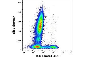 Flow cytometry surface staining pattern of human peripheral whole blood stained using anti-human TCR Cbeta1 (JOVI. (TCR, Cbeta1 Antikörper (APC))