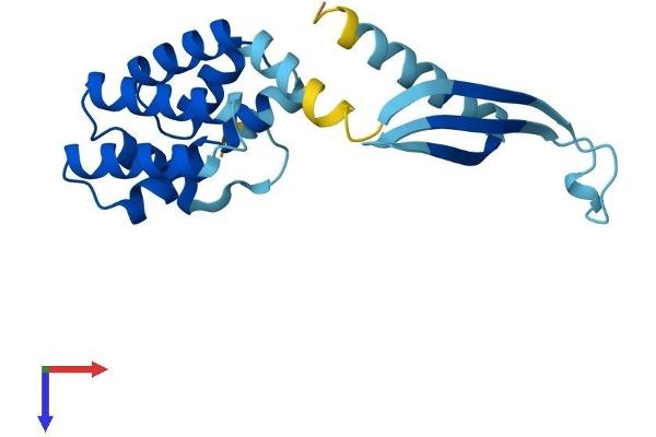 COMMD7 Protein (AA 1-200) (His tag)