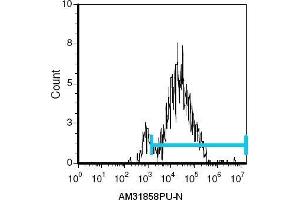 Flow Cytometry (FACS) image for anti-Lymphocyte Antigen 76 (Ly76) antibody (ABIN955150) (Ly76 Antikörper)