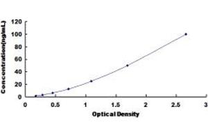 Typical standard curve (ADH1 ELISA Kit)