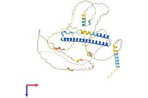 NFIL3 Protein (AA 1-462) (His tag)