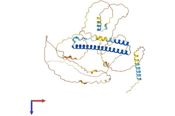 NFIL3 Protein (AA 1-462) (His tag)