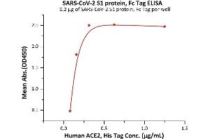 ELISA image for SARS-CoV-2 Spike S1 (B.1.1.7 - alpha) (Active) protein (Fc Tag) (ABIN6992403)