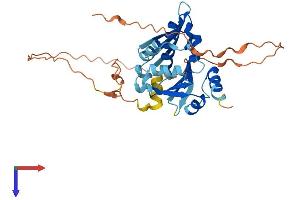 BNIPL Protein (AA 1-328) (His tag)