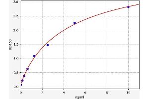 Typical standard curve (ERCC1 ELISA Kit)