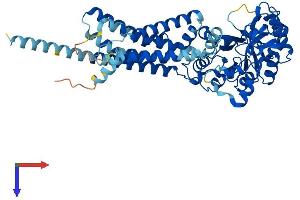 GDPD2 Protein (AA 1-539) (His tag)