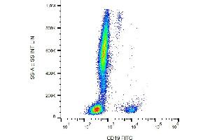 Flow cytometry analysis (surface staining) of human peripheral blood cells with anti-human CD19 (LT19) FITC. (CD19 Antikörper  (FITC))