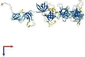 CDSE1 Protein (AA 1-798) (His tag)