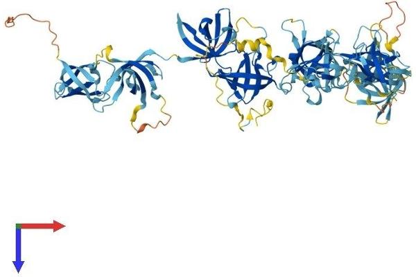 CDSE1 Protein (AA 1-798) (His tag)
