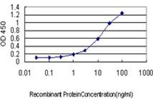 Detection limit for recombinant GST tagged CSE1L is approximately 0. (Exportin 2 Antikörper  (AA 872-971))