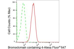 Flow cytometric analysis of Bromodomain containing 4 expression in HT- cells using Bromodomain containing 4 antibody (ABIN7797799), 1:2,000).