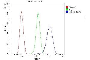 Flow Cytometry analysis of U20S cells using anti-nmt55 p54nrb antibody (ABIN6719600). (NONO Antikörper  (N-Term))