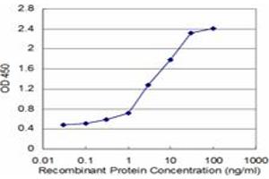 Detection limit for recombinant GST tagged TPT1 is approximately 0. (TPT1 Antikörper  (AA 35-138))