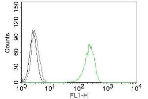 Flow Cytometry of human CD71 on K562 cells. (Transferrin Receptor Antikörper)