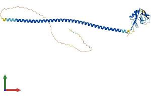 Protein Structure (PS) image for CD72 Molecule (CD72) (AA 1-354) protein (His tag) (ABIN7562962)