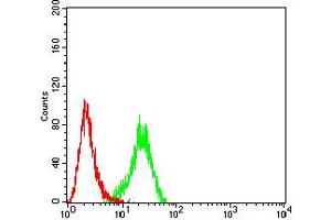 Flow Cytometry (FACS) image for anti-Folate Receptor 1 (Adult) (FOLR1) (AA 41-227) antibody (ABIN5611335)