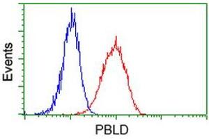 Flow cytometric Analysis of Hela cells, using anti-PBLD antibody (ABIN2453424), (Red), compared to a nonspecific negative control antibody (TA50011), (Blue). (PBLD1 Antikörper)