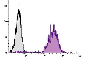 Mouse pre-B cell line 18-81 was stained with Rat Anti-Mouse CD71-PE. (Transferrin Receptor Antikörper  (PE))