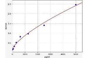 TR4 ELISA Kit