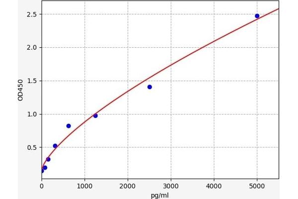 TR4 ELISA Kit