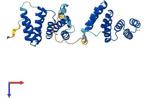 TOMM34 Protein (AA 1-309) (His tag)