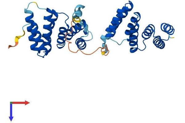 TOMM34 Protein (AA 1-309) (His tag)