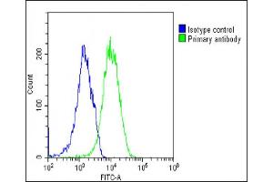Flow Cytometry (FACS) image for anti-Eukaryotic Translation Initiation Factor 2B, Subunit 3 Gamma, 58kDa (EIF2B3) (AA 110-452) antibody (ABIN6243199)