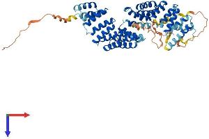 BBS4 Protein (AA 1-519) (His tag)