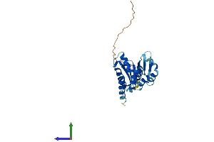 Protein Structure (PS) image for Partner of NOB1 Homolog (PNO1) (AA 1-252) protein (His tag) (ABIN7550877)