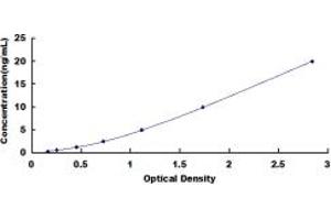 Typical standard curve (NONO ELISA Kit)