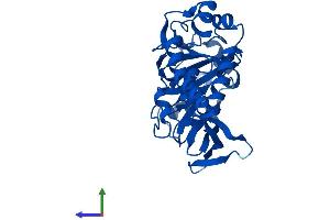 Protein Structure (PS) image for Jumonji Domain Containing 7 (JMJD7) (AA 1-316) protein (His tag) (ABIN7548650)