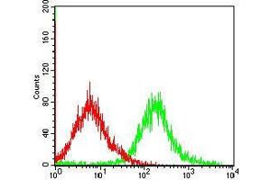 Flow Cytometry (FACS) image for anti-Caspase 7, Apoptosis-Related Cysteine Peptidase (CASP7) (AA 29-198) antibody (ABIN5542605)