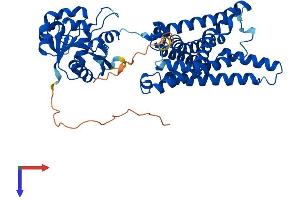 STEAP2 Protein (AA 1-490) (His tag)