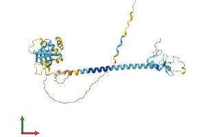 Protein Structure (PS) image for Ring Finger Protein 215 (RNF215) (AA 1-377) protein (His tag) (ABIN7551494)