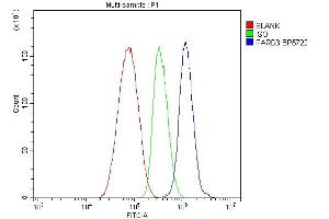 Flow Cytometry analysis of HepG2 cells using anti-PAR-3/PARD3 antibody (ABIN7598983). (PARD3 Antikörper  (AA 1-1346))
