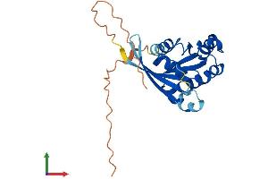 AlphaFold protein structure predicition of Human Recombinant RAB41 Protein, UniprotID Q5JT25