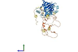 Protein Structure (PS) image for NIMA related kinase 3 (NEK3) (AA 1-506) protein (His tag) (ABIN7549826)