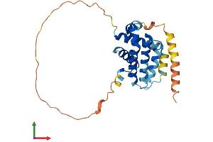 AlphaFold protein structure predicition of Human Recombinant BCL2L1 Protein, UniprotID Q07817 (BCL2L1 Protein (AA 1-233) (His tag))