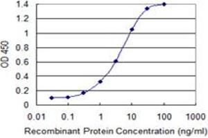 Detection limit for recombinant GST tagged ULK2 is 0. (ULK2 Antikörper  (AA 743-843))