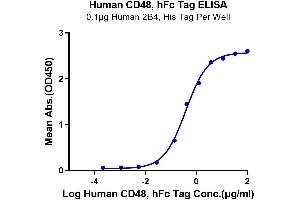 Immobilized Human 2B4, His Tag at 1 μg/mL (100 μL/well) on the plate. (CD48 Protein (CD48) (AA 27-220) (Fc Tag))