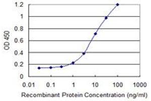 Detection limit for recombinant GST tagged SLC4A1AP is 0. (NADAP Antikörper  (AA 154-254))
