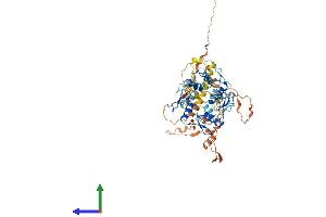 AlphaFold protein structure predicition of Human Recombinant ZNF529 Protein, UniprotID Q6P280