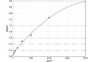 ST6 beta-Galactosamide alpha-2,6-Sialyltranferase 1 (ST6GAL1) ELISA Kit