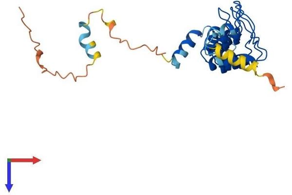 ANKRD49 Protein (AA 1-238) (His tag)