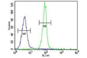 Caspase-3 antibody flow cytometric analysis of MDA-MB435 cells (right histogram) compared to a negative control cell (left histogram).