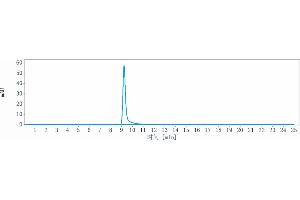 The purity of Anti-TNFRSF17 / BCMA / CD269 Reference Antibody (belantamab) is 100 % , determined by SEC-HPLC.